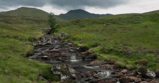 Link to Video | Scottish Highlands, landscape, Grampian Mountains, summer, United Kingdom, rural area, Erica, Perth and Kinross, Scotland, 4K resolution, Calluna vulgaris, 2022, Ben Lawers