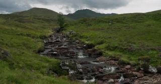 Link to Video | Scottish Highlands, landscape, Grampian Mountains, summer, United Kingdom, rural area, Erica, Perth and Kinross, Scotland, 4K resolution, Calluna vulgaris, 2022, Ben Lawers