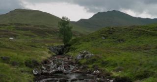 Link to Video | Scottish Highlands, landscape, Grampian Mountains, summer, United Kingdom, rural area, Erica, Perth and Kinross, Scotland, 4K resolution, Calluna vulgaris, 2022, Ben Lawers