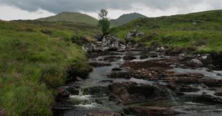 Link to Video | Scottish Highlands, landscape, Grampian Mountains, summer, United Kingdom, rural area, Erica, Perth and Kinross, Scotland, 4K resolution, Calluna vulgaris, 2022, Ben Lawers