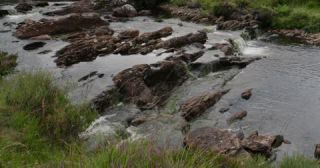 Link to Video | Scottish Highlands, landscape, Grampian Mountains, summer, United Kingdom, rural area, Erica, Perth and Kinross, Scotland, 4K resolution, Calluna vulgaris, 2022, Ben Lawers
