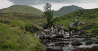 Link to Video | Scottish Highlands, landscape, Grampian Mountains, summer, United Kingdom, rural area, Erica, Perth and Kinross, Scotland, 4K resolution, Calluna vulgaris, 2022, Ben Lawers