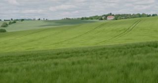 Link to Video | landscape, agriculture, Saarland, spring, rural area, Germany, 4K resolution, 2022, barley, Marpingen, St. Wendel
