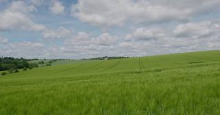 Link to Video | landscape, agriculture, Saarland, spring, rural area, Germany, 4K resolution, 2022, barley, Marpingen, St. Wendel