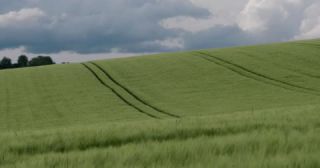 Link to Video | landscape, agriculture, Saarland, spring, rural area, Germany, 4K resolution, 2022, barley, Marpingen, St. Wendel