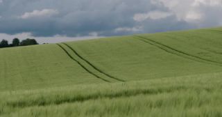 Link to Video | landscape, agriculture, Saarland, spring, rural area, Germany, 4K resolution, 2022, barley, Marpingen, St. Wendel
