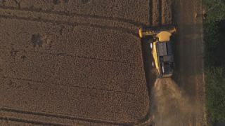 Link to Video | landscape, agriculture, Saarland, summer, Germany, food, crop, 4K resolution, combine harvester, aerial shot, 2022, St. Wendel
