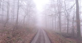 Link to Video | landscape, tree, Saarland, winter, Germany, mist, 4K resolution, mixed forest, forest, aerial shot, 2022, beech forest, St. Wendel