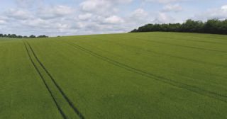 Link to Video | landscape, agriculture, Saarland, spring, rural area, Germany, field, food, 4K resolution, aerial shot, 2022, barley, St. Wendel