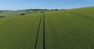 Link to Video | landscape, agriculture, Saarland, spring, rural area, Germany, field, food, 4K resolution, aerial shot, 2022, barley, St. Wendel
