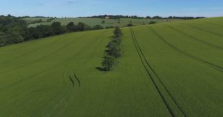 Link to Video | landscape, agriculture, Saarland, spring, rural area, Germany, field, food, 4K resolution, aerial shot, 2022, barley, St. Wendel