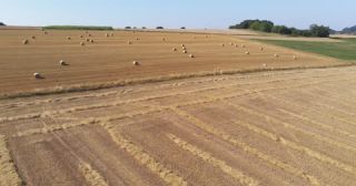 Link to Video | landscape, agriculture, Saarland, summer, straw, rural area, Germany, field, harvest, 4K resolution, farming business, aerial shot, 2022, St. Wendel
