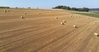Link to Video | landscape, agriculture, Saarland, summer, straw, rural area, Germany, field, harvest, 4K resolution, farming business, aerial shot, 2022, St. Wendel