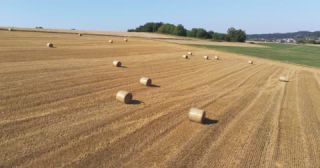 Link to Video | landscape, agriculture, Saarland, summer, straw, rural area, Germany, field, harvest, 4K resolution, farming business, aerial shot, 2022, St. Wendel