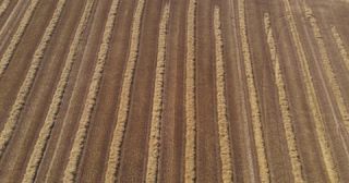 Link to Video | landscape, agriculture, Saarland, summer, straw, rural area, Germany, field, harvest, 4K resolution, farming business, aerial shot, 2022, St. Wendel