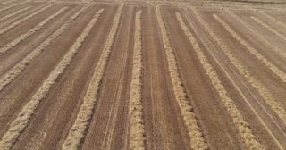 Link to Video | landscape, agriculture, Saarland, summer, straw, rural area, Germany, field, harvest, 4K resolution, farming business, aerial shot, 2022, St. Wendel