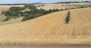 Link to Video | landscape, agriculture, Saarland, summer, straw, rural area, Germany, field, harvest, 4K resolution, farming business, aerial shot, 2022, St. Wendel