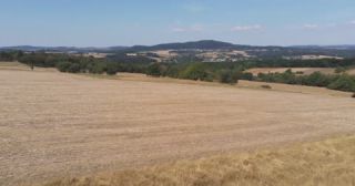 Link to Video | landscape, agriculture, Saarland, climate change, summer, rural area, Germany, crop, 4K resolution, drought, heat, aerial shot, 2022, St. Wendel, global warming