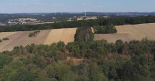 Link to Video | landscape, agriculture, Saarland, climate change, summer, rural area, Germany, crop, 4K resolution, drought, heat, aerial shot, 2022, St. Wendel, global warming