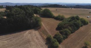 Link to Video | landscape, agriculture, Saarland, climate change, summer, rural area, Germany, crop, 4K resolution, drought, heat, aerial shot, 2022, St. Wendel, global warming