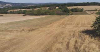Link to Video | landscape, agriculture, Saarland, climate change, summer, rural area, Germany, crop, 4K resolution, drought, heat, aerial shot, 2022, St. Wendel, global warming