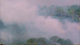 Link to Video