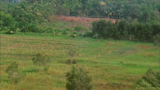 Link to Video