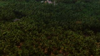 Link to Video