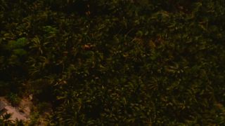 Link to Video