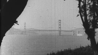 Link to Video | San Francisco, California