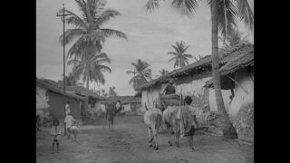 Link zum Video | Indien