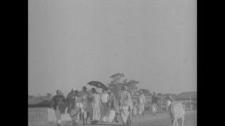 Link to Video | India