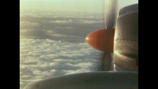 Link to Video
