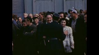 Link to Video