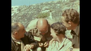 Link to Video