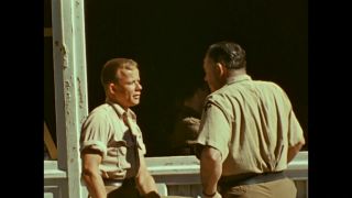 Link to Video