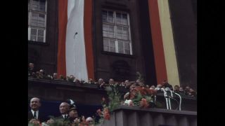 Link to Video