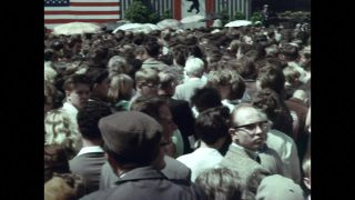 Link to Video