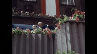 Link to Video