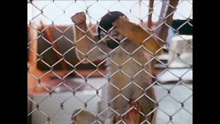 Link to Video | San Francisco, California