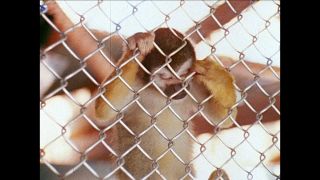 Link to Video | San Francisco, California