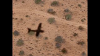 Link to Video