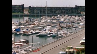 Link to Video | United States of America, Los Angeles, California