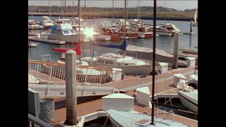Link to Video | United States of America, Los Angeles, California