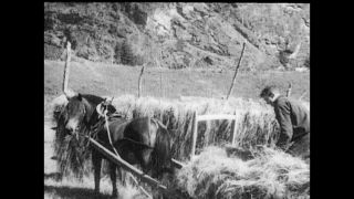 Link to Video | Norway, black and white