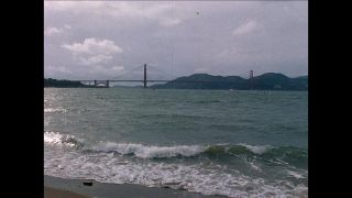 Link to Video | San Francisco, California
