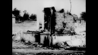 Link to Video | black-and-white photography