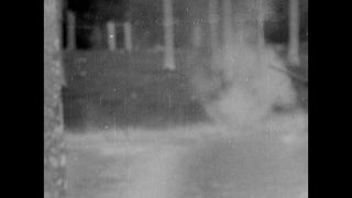 Link to Video | black-and-white photography