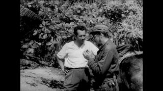 Link to Video | black-and-white photography