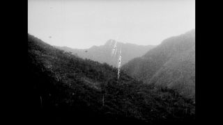 Link to Video | black-and-white photography